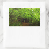 Ahornbäume im Redwood-Wald Rechteckiger Aufkleber (Tasche)