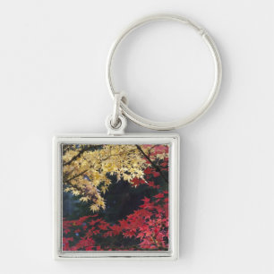 Ahornbäume in Herbstfarbe Schlüsselanhänger