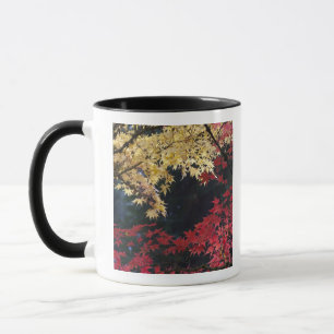 Ahornbäume in Herbstfarbe Tasse