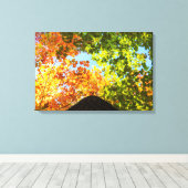 Ahornbäume Leinwanddruck (Insitu (Holzboden))