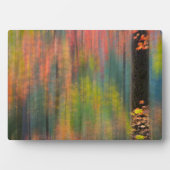 Ahornbäume | Silver Falls Staat Park Fotoplatte (Vorderseite)