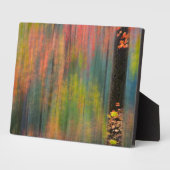 Ahornbäume | Silver Falls Staat Park Fotoplatte (Seite)