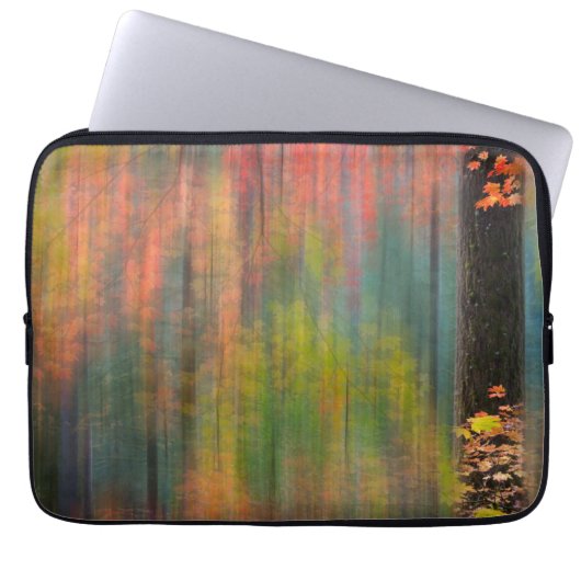 Ahornbäume | Silver Falls Staat Park Laptopschutzhülle (Vorderseite)