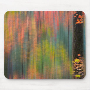Ahornbäume Silver Falls State Park Mousepad