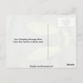 Ahornbaumfrüchte (acer saccharum) postkarte (Rückseite)