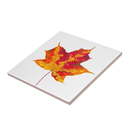 Ahornblatt Fliese (Seite)