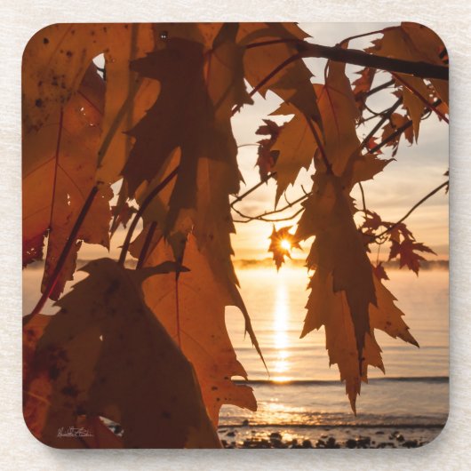 Ahornblatt Getränkeuntersetzer (Vorderseite)