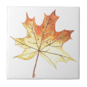 Ahornblatt im Herbst Fliese (Vorderseite)