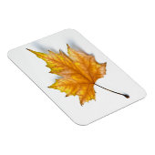 Ahornblatt im Herbst Magnet (Rechte Seite)