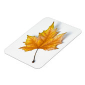 Ahornblatt im Herbst Magnet (Linke Seite)