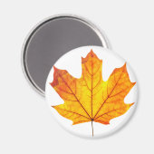 Ahornblatt Magnet (Vorderseite/Rückseite)