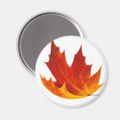 Ahornblatt Magnet (Vorderseite/Rückseite)