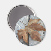 Ahornblatt Magnet (Vorderseite/Rückseite)