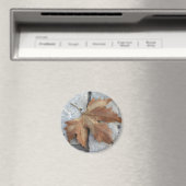 Ahornblatt Magnet (In Situ (Geschirrspüler))