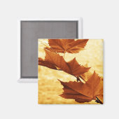 Ahornblatt-Magnet Magnet (Vorderseite/Rückseite)