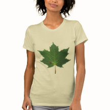 AHORNBLATT - MARIENKÄFER