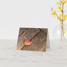 Ahornblatt minimalistisches Fallfoto