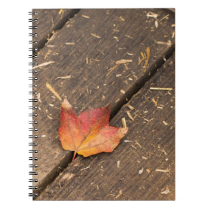 Ahornblatt minimalistisches Fallfoto Notizblock