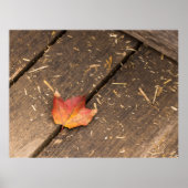 Ahornblatt minimalistisches Fallfoto Poster (Vorne)