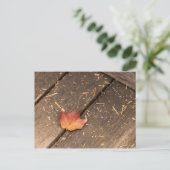 Ahornblatt minimalistisches Fallfoto Postkarte (Stehend Vorderseite)