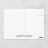 Ahornblatt minimalistisches Fallfoto Postkarte (Rückseite)