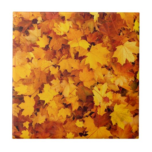 Ahornblatt-Muster-25877 Fliese (Vorderseite)