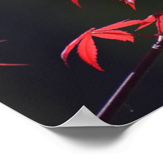 Ahornblatt, Poster (Ecke)