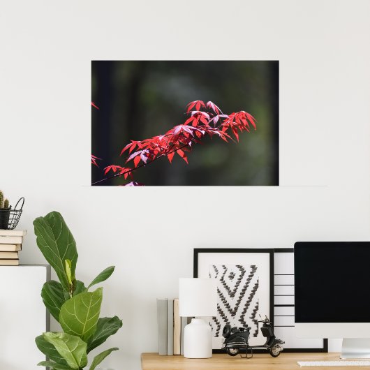 Ahornblatt, Poster (Heimbüro)