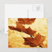 Ahornblatt Postkarte (Vorne/Hinten)