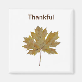 Ahornblätter, Braun- und Goldtöne Magnet