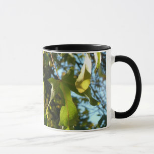 Ahornblätter,Herbst,herbstlich Tasse