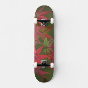 Ahornblätter, Katsura, Kyoto, Japan Skateboard