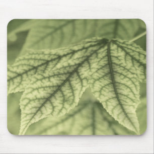 Ahornblätter Mousepad
