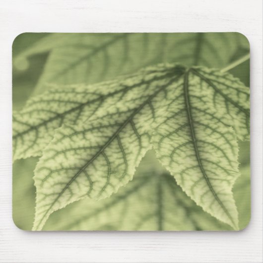 Ahornblätter Mousepad (Vorne)