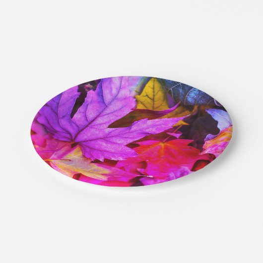 Ahornblättern, farbig lila orange pappteller (Schrägansicht)