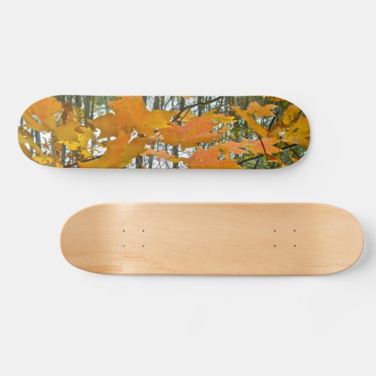 Ahornblättern Skateboard (Horizontal)