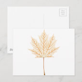 Ahornblätterskelett Postkarte (Vorne/Hinten)