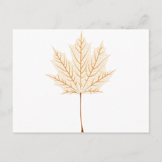 Ahornblätterskelett Postkarte (Vorderseite)