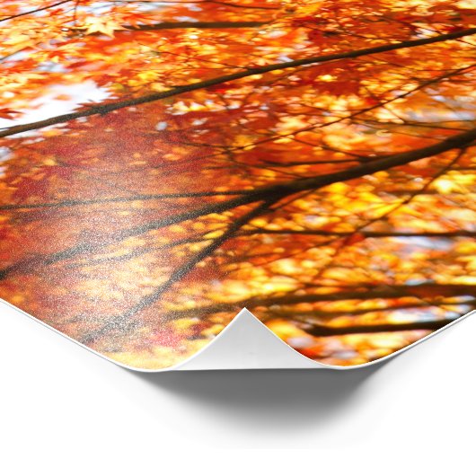 Ahornblätterung Fotodruck (Ecke)