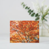 Ahornblätterung Postkarte (Stehend Vorderseite)