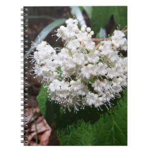 AhornblattViburnum Notizblock