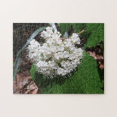 AhornblattViburnum Puzzle (Horizontal)