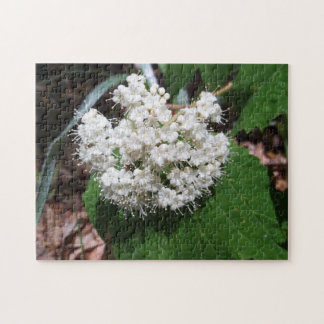 AhornblattViburnum Puzzle