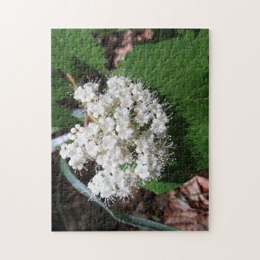 AhornblattViburnum Puzzle (Vertikal)