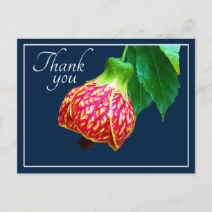 Ahornblüten Blaue Hintergrund Danke Postkarte