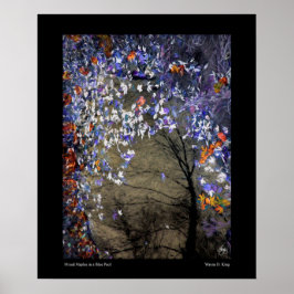 Ahorngemische in einem Herbstpool Poster