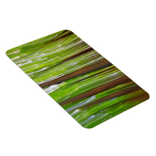 Ahorngrove Abstrakt Magnet (Rechte Seite)