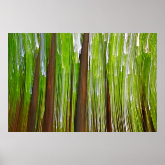 Ahorngrove Abstrakt Poster (Vorne)