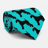 Ahornhalskraut Krawatte (Gerollt)