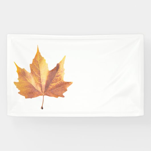 Ahornherbstblatt Banner (Horizontal)